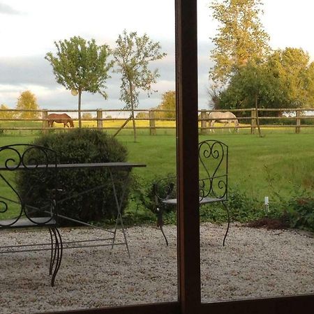 Haras Des Leudets Bed and Breakfast Blangy-le-Château Zewnętrze zdjęcie