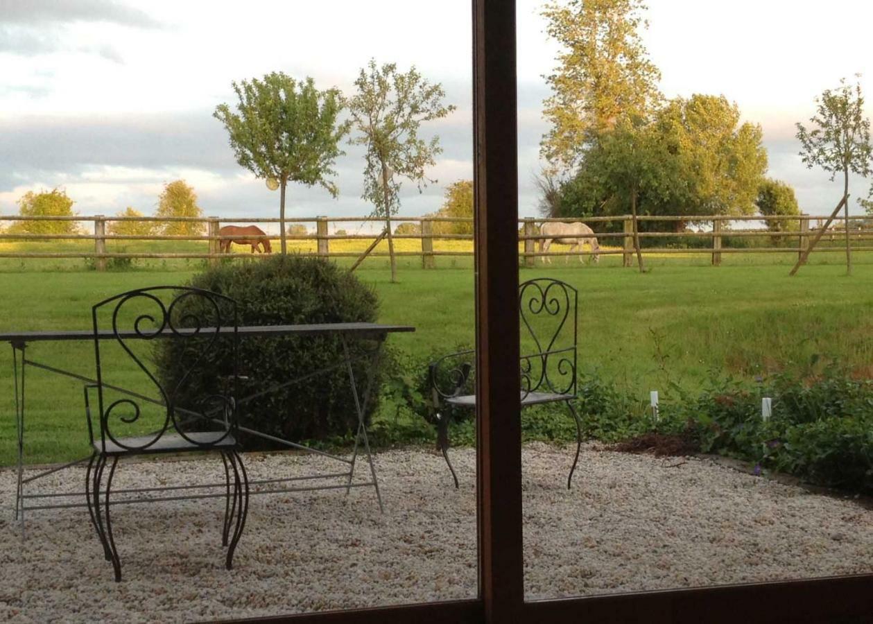 Haras Des Leudets Bed and Breakfast Blangy-le-Château Zewnętrze zdjęcie